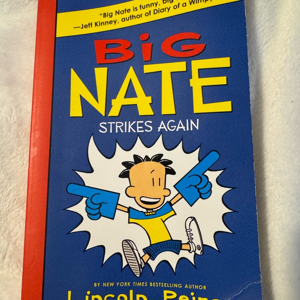 Big Nate Strikes Again Book